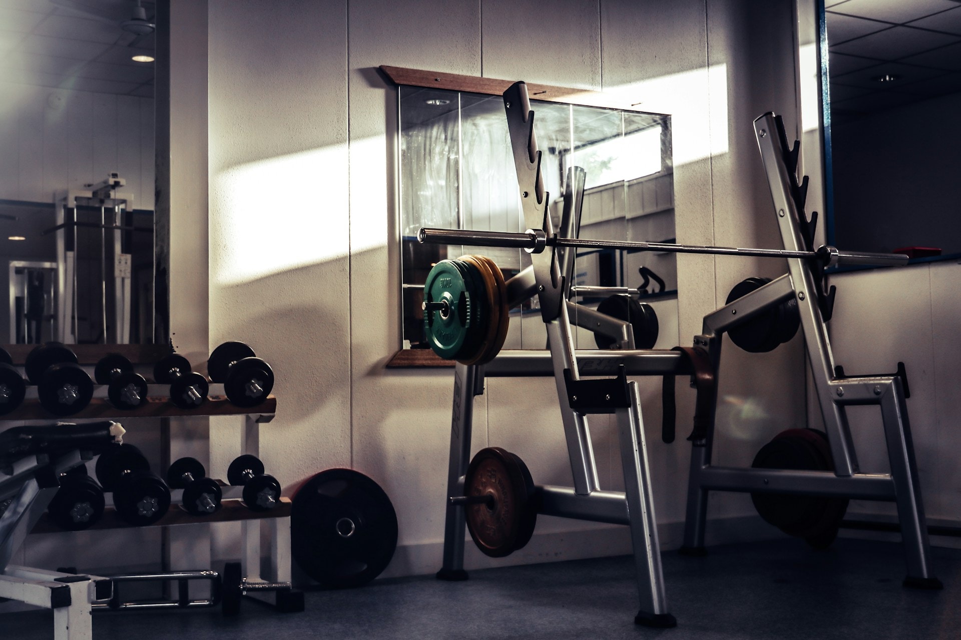 Weight training equipment and barbells on a rack in a fitness facility